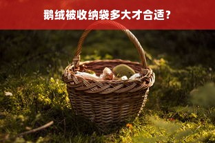 鹅绒被收纳袋多大才合适？