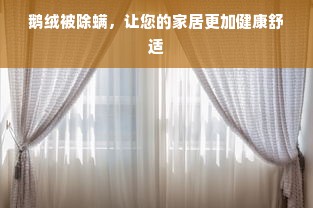 鹅绒被除螨，让您的家居更加健康舒适