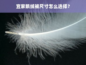 宜家鹅绒被尺寸怎么选择？