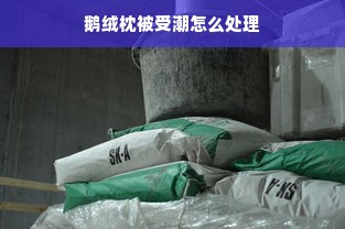 鹅绒枕被受潮怎么处理