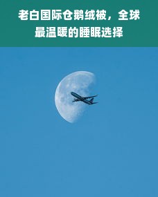 老白国际仓鹅绒被，全球最温暖的睡眠选择