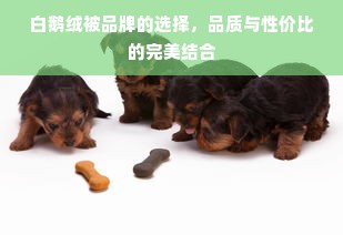 白鹅绒被品牌的选择，品质与性价比的完美结合