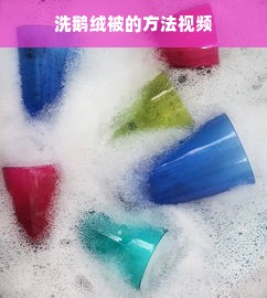 洗鹅绒被的方法视频