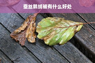 蚕丝鹅绒被有什么好处