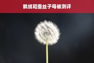 鹅绒和蚕丝子母被测评