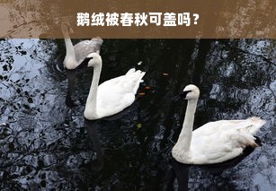 鹅绒被春秋可盖吗？