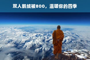 双人鹅绒被800，温暖你的四季