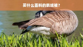 买什么面料的鹅绒被？