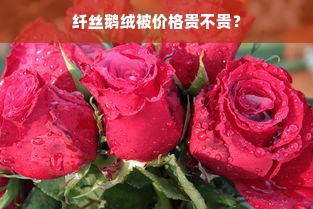 纤丝鹅绒被价格贵不贵？