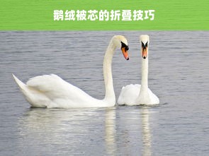 鹅绒被芯的折叠技巧