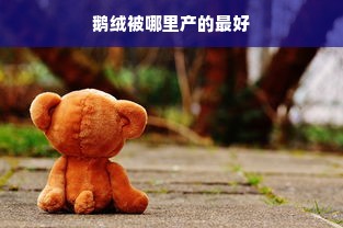 探秘男女啦啦队服装品牌的魅力与特色