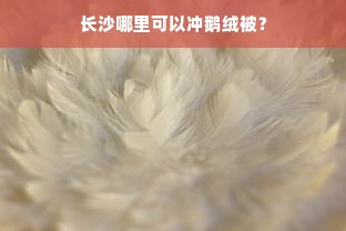 长沙哪里可以冲鹅绒被？