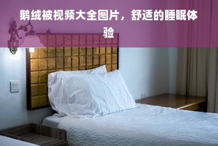 鹅绒被视频大全图片，舒适的睡眠体验