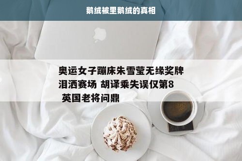 鹅绒被里鹅绒的真相