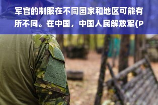 军官的制服在不同国家和地区可能有所不同。在中国，中国人民解放军(PLA)的军官制服包括了几个不同的级别，每个级别的制服都有其独特的颜色和设计。以下是一些常见的军装品牌，它们为中国人民解放军提供了制服