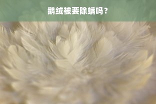 鹅绒被要除螨吗？