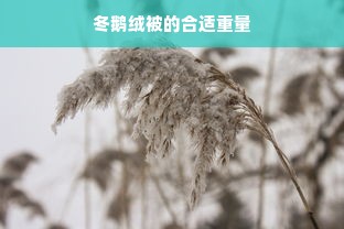 冬鹅绒被的合适重量