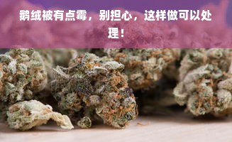 源头工厂鹅绒被深度解析，品质、性能与用户体验