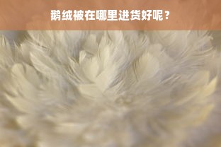 鹅绒被在哪里进货好呢？