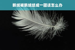 鹅绒被鹅绒结成一团该怎么办