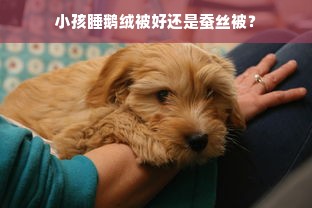 小孩睡鹅绒被好还是蚕丝被？