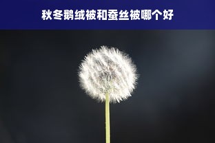 秋冬鹅绒被和蚕丝被哪个好