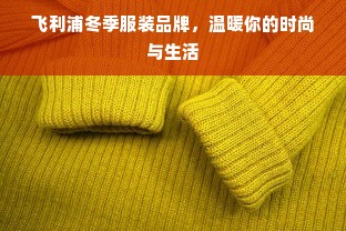 飞利浦冬季服装品牌，温暖你的时尚与生活