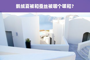 鹅绒夏被和蚕丝被哪个暖和？