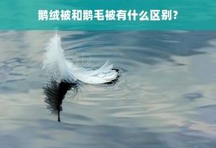 鹅绒被和鹅毛被有什么区别？