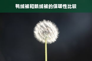 鸭绒被和鹅绒被的保暖性比较