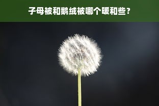 子母被和鹅绒被哪个暖和些？