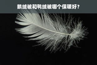 鹅绒被和鸭绒被哪个保暖好？