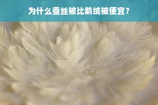 为什么蚕丝被比鹅绒被便宜？