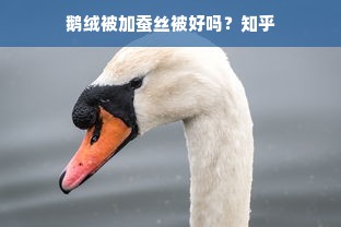 鹅绒被加蚕丝被好吗？知乎