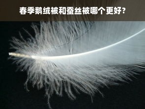 春季鹅绒被和蚕丝被哪个更好？