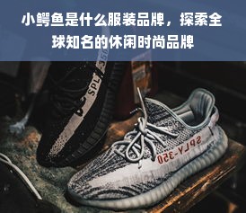 小鳄鱼是什么服装品牌，探索全球知名的休闲时尚品牌