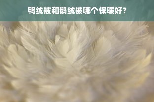 鸭绒被和鹅绒被哪个保暖好？