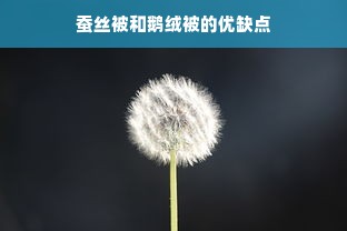 蚕丝被和鹅绒被的优缺点