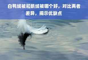 白鸭绒被和鹅绒被哪个好，对比两者差异，揭示优缺点