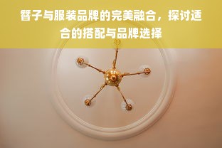 簪子与服装品牌的完美融合，探讨适合的搭配与品牌选择