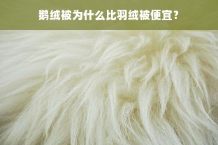 鹅绒被为什么比羽绒被便宜？