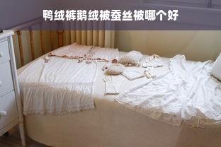 鸭绒裤鹅绒被蚕丝被哪个好