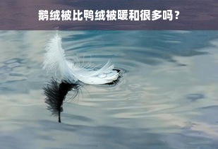 鹅绒被比鸭绒被暖和很多吗？