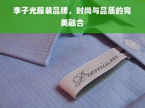 李子光服装品牌，时尚与品质的完美融合