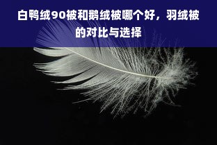 白鸭绒90被和鹅绒被哪个好，羽绒被的对比与选择