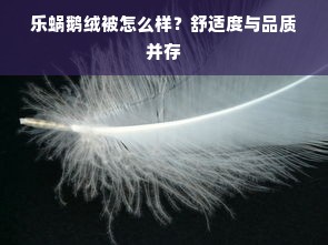 乐蜗鹅绒被怎么样？舒适度与品质并存