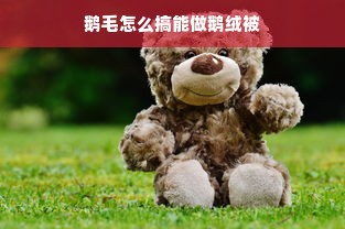 鹅毛怎么搞能做鹅绒被