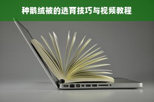 种鹅绒被的选育技巧与视频教程