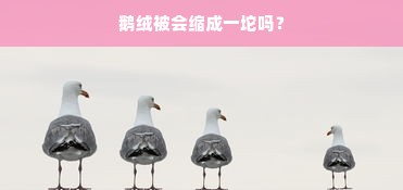 鹅绒被会缩成一坨吗？