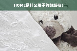 HOME是什么牌子的鹅绒被？